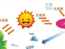 無(wú)光觸媒和光觸媒有什么區(qū)別？